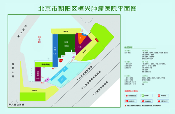 大黑鸡巴插逼逼北京市朝阳区桓兴肿瘤医院平面图